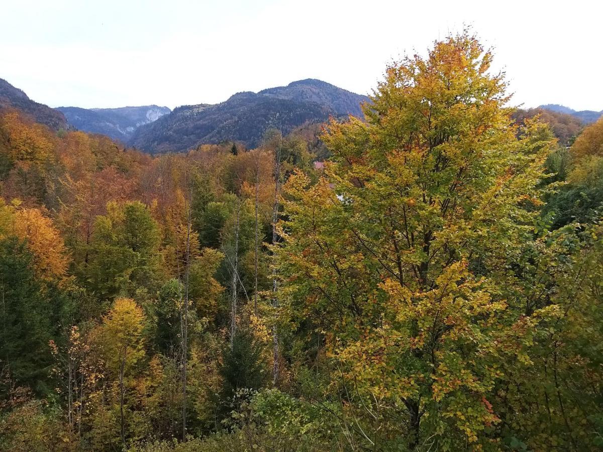 Chill&Sleep Bad Ischl Leilighet Eksteriør bilde