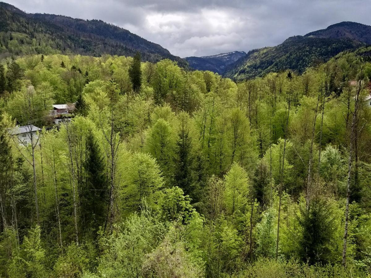 Chill&Sleep Bad Ischl Leilighet Eksteriør bilde