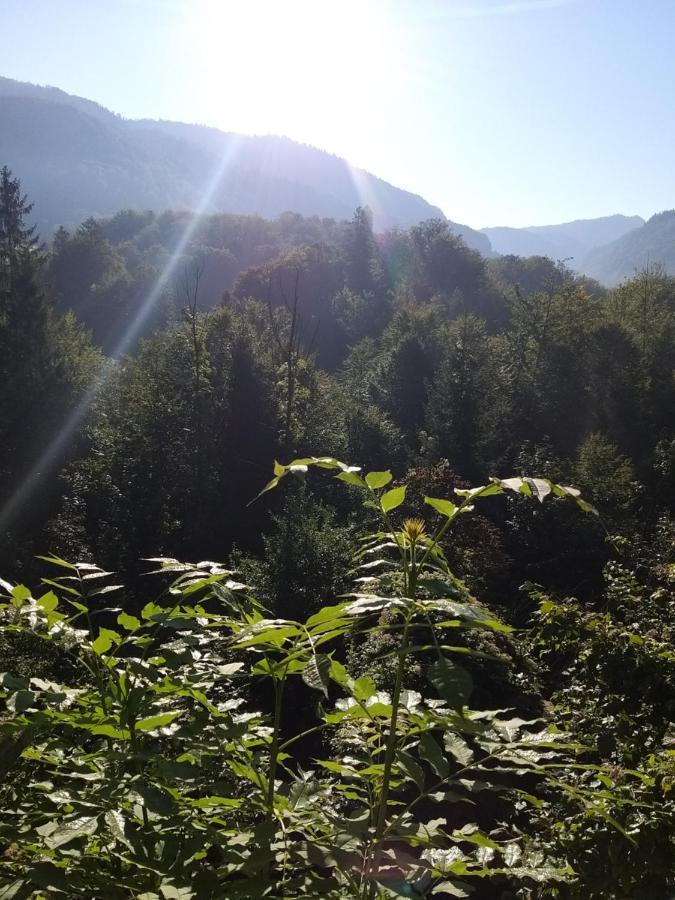 Chill&Sleep Bad Ischl Leilighet Eksteriør bilde